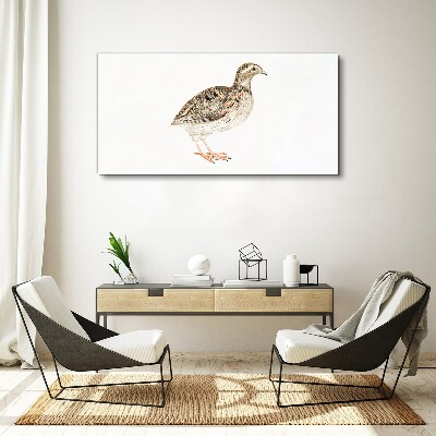Foto op canvas Vogel op een witte achtergrond