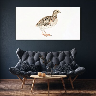 Foto op canvas Vogel op een witte achtergrond