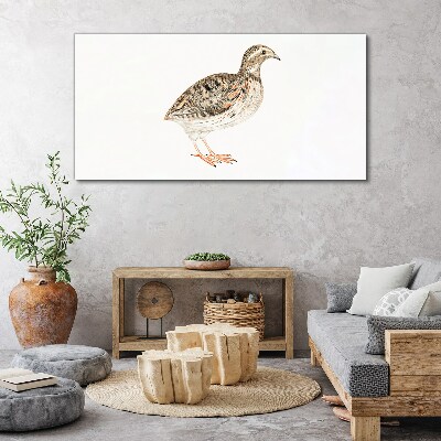 Foto op canvas Vogel op een witte achtergrond