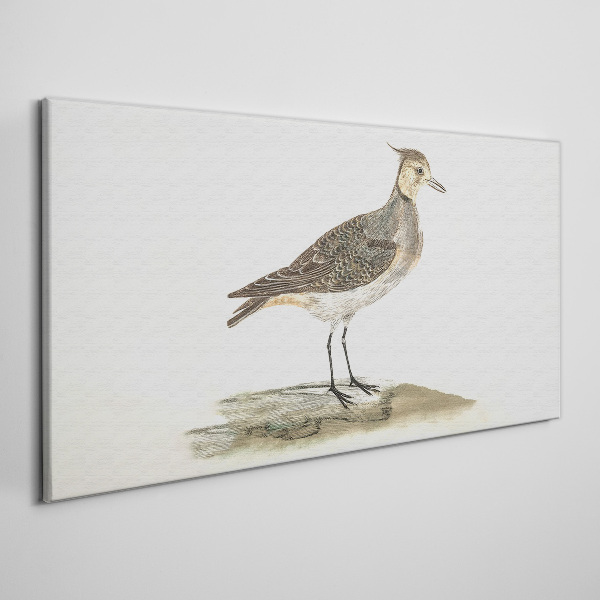 Schilderij op doek Een elegante vogel tegen een natuurlijke achtergrond