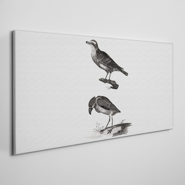 Foto op canvas Vogels op een tak