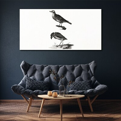 Foto op canvas Vogels op een tak