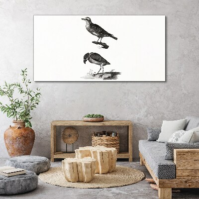 Foto op canvas Vogels op een tak