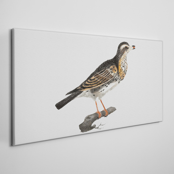 Foto op canvas Een vogel op een tak