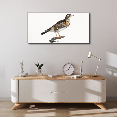 Foto op canvas Een vogel op een tak