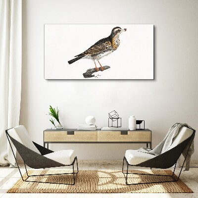 Foto op canvas Een vogel op een tak