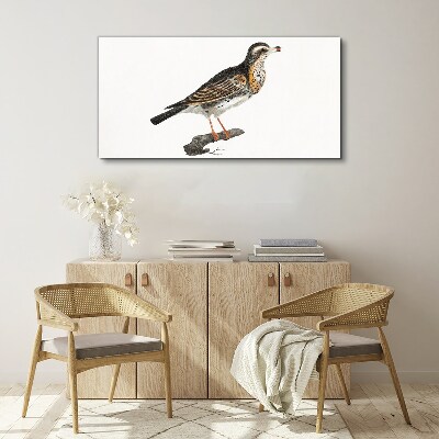 Foto op canvas Een vogel op een tak