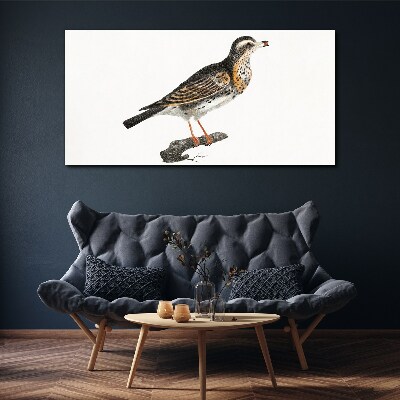 Foto op canvas Een vogel op een tak