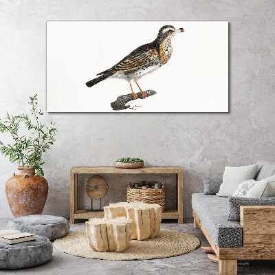 Foto op canvas Een vogel op een tak