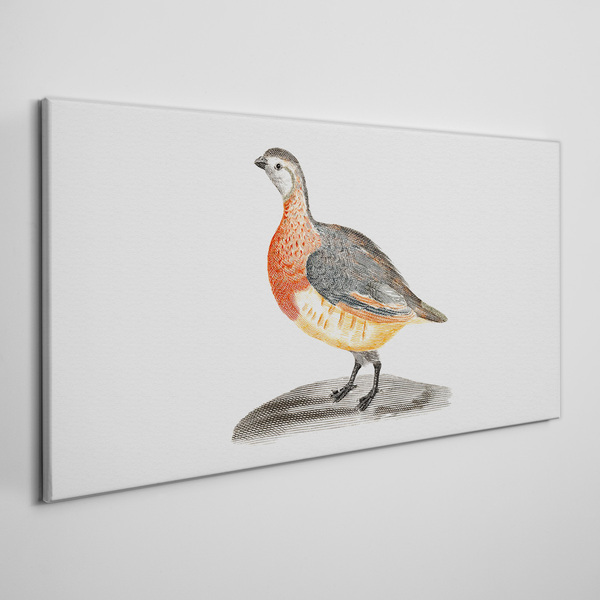 Canvas schilderij Een vrolijke vogel op een witte achtergrond