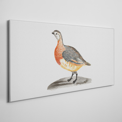 Canvas schilderij Een vrolijke vogel op een witte achtergrond