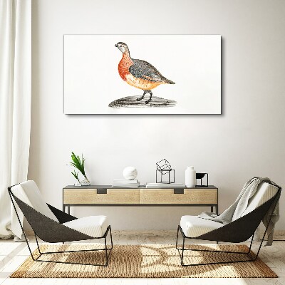 Canvas schilderij Een vrolijke vogel op een witte achtergrond