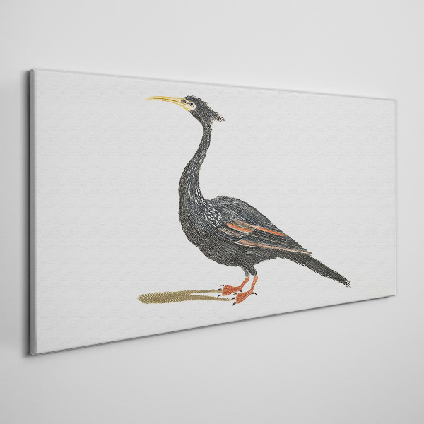 Foto op canvas Zwarte vogel op een witte achtergrond