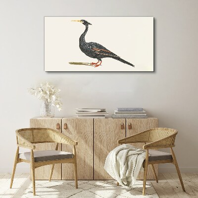 Foto op canvas Zwarte vogel op een witte achtergrond