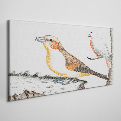 Foto op canvas Vogelduet op een tak