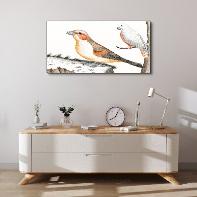 Foto op canvas Vogelduet op een tak