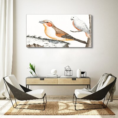 Foto op canvas Vogelduet op een tak