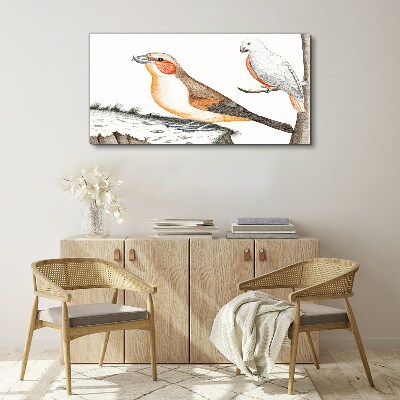 Foto op canvas Vogelduet op een tak
