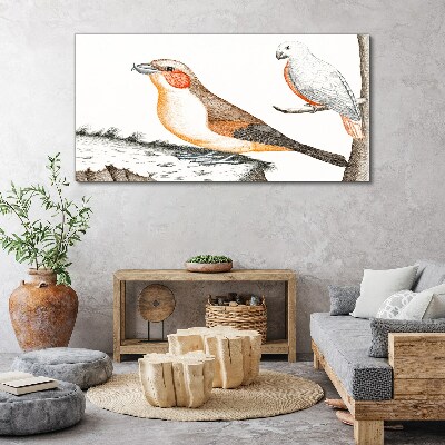 Foto op canvas Vogelduet op een tak