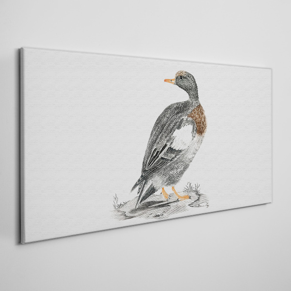 Schilderij op doek Een eend op een witte achtergrond