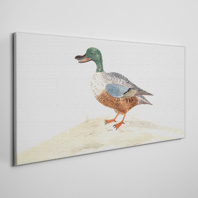 Schilderij op doek Een eend tegen een achtergrond van delicate kleuren