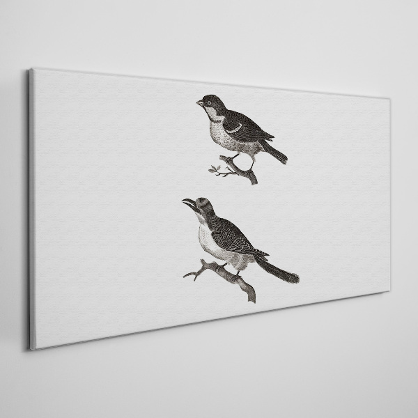 Foto op canvas Vogels op een tak