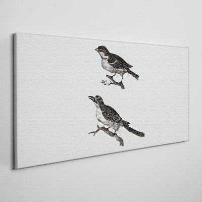 Foto op canvas Vogels op een tak