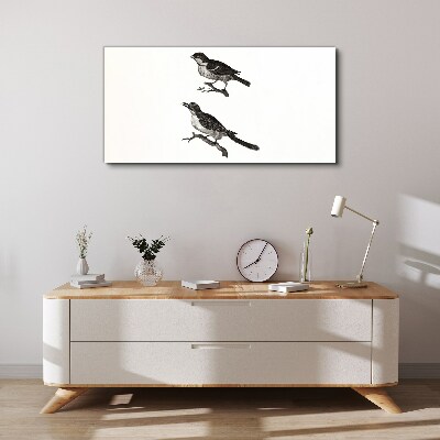 Foto op canvas Vogels op een tak