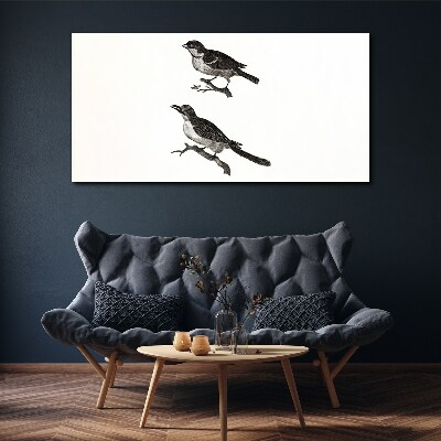 Foto op canvas Vogels op een tak