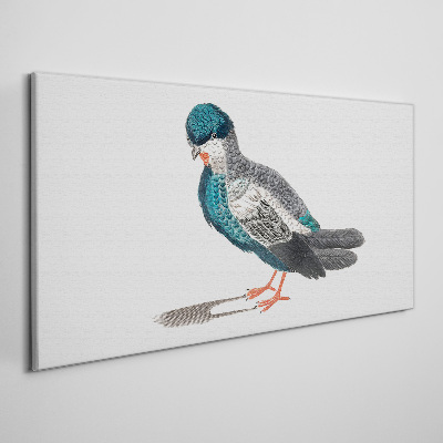 Canvas schilderij Kleurrijke vogel op een witte achtergrond