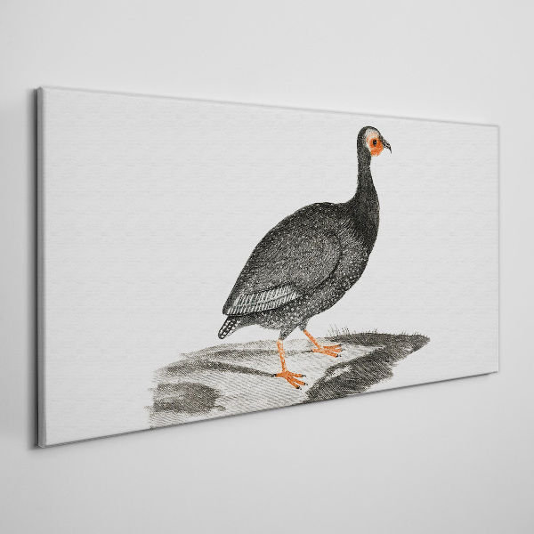 Foto op canvas Zwarte vogel op een witte achtergrond