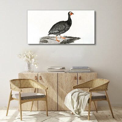 Foto op canvas Zwarte vogel op een witte achtergrond