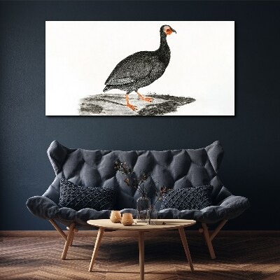 Foto op canvas Zwarte vogel op een witte achtergrond