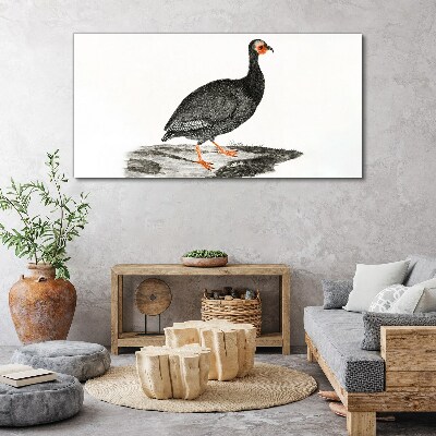 Foto op canvas Zwarte vogel op een witte achtergrond