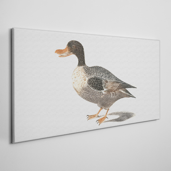 Schilderij op doek Eend in naturalistische stijl