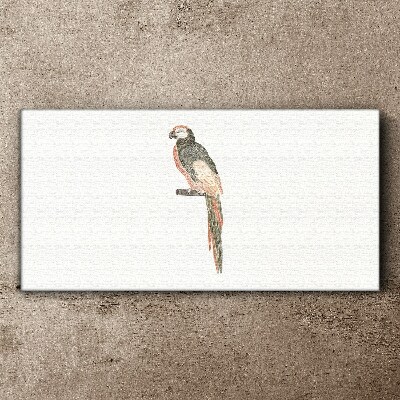 Schilderij op doek Een vogel op een tak