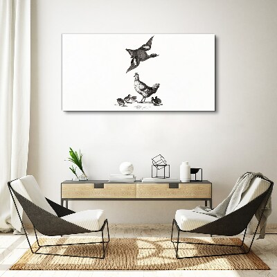 Foto op canvas De vogelwereld in zwart-wit