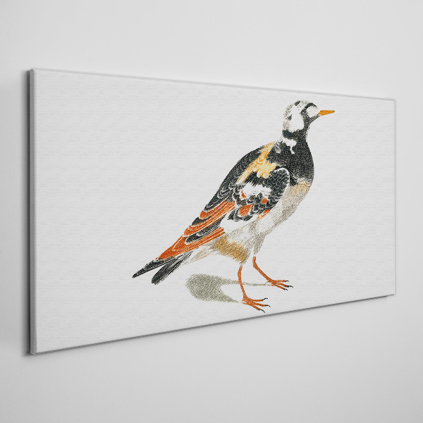 Foto op canvas Vogel op een witte achtergrond