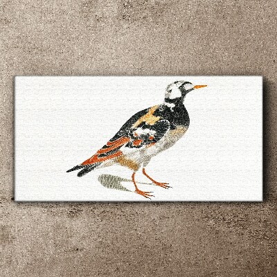 Foto op canvas Vogel op een witte achtergrond