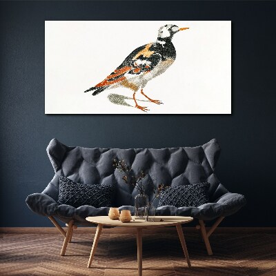 Foto op canvas Vogel op een witte achtergrond