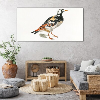 Foto op canvas Vogel op een witte achtergrond