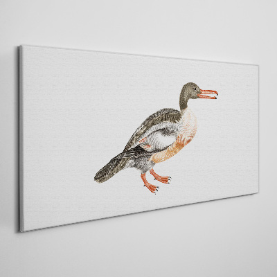 Canvas schilderij Een eend op een witte canvasachtergrond