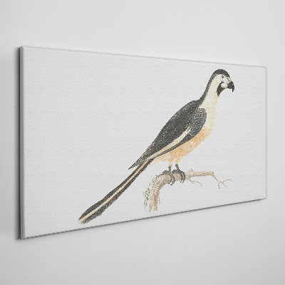 Foto op canvas Een vogel op een tak