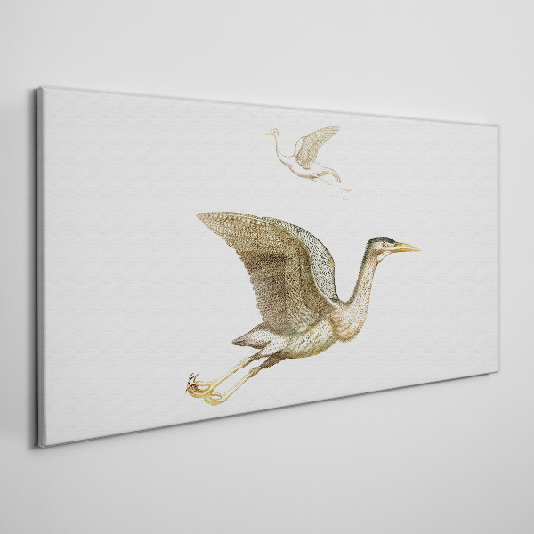 Schilderij op doek Een vogelvlucht over kalm water