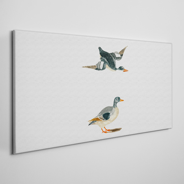 Schilderij op doek Watervogels in vlucht en op de grond