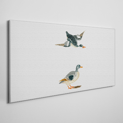 Schilderij op doek Watervogels in vlucht en op de grond