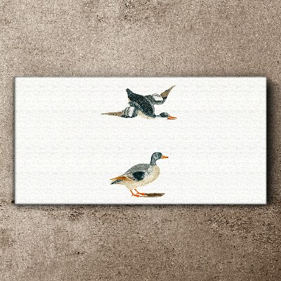 Schilderij op doek Watervogels in vlucht en op de grond