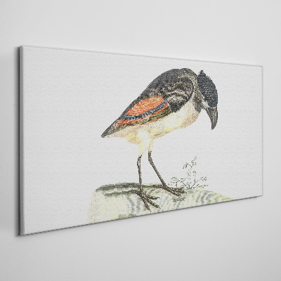 Foto op canvas Een vogel tegen een natuurlijke achtergrond