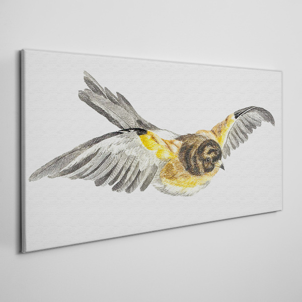 Foto op canvas De majestueuze vlucht van een vogel