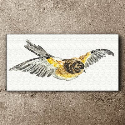 Foto op canvas De majestueuze vlucht van een vogel